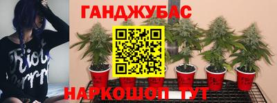 PSILOCYBIN Малоярославец