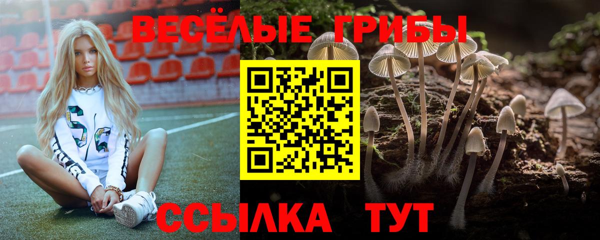 Галлюциногенные грибы мицелий  Вход с VPN  Псилоцибиновые грибы Magic Shrooms  Чусовой 