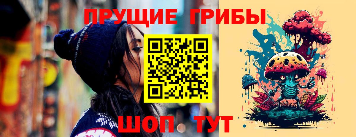Псилоцибиновые грибы Psilocybe Чусовой